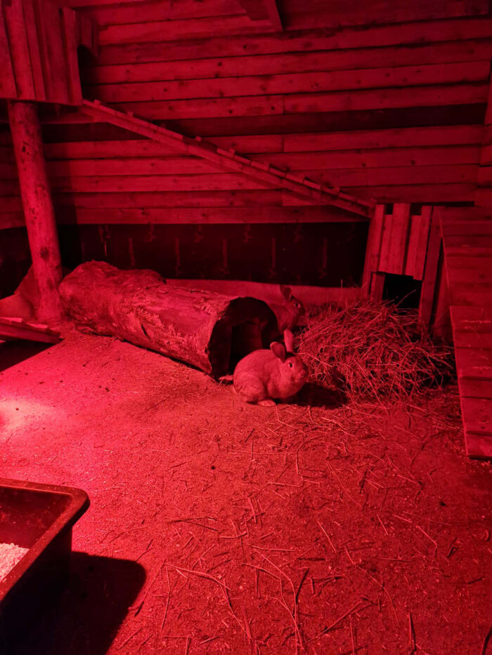 Kokeilu pienemmästä bannerikuvasta