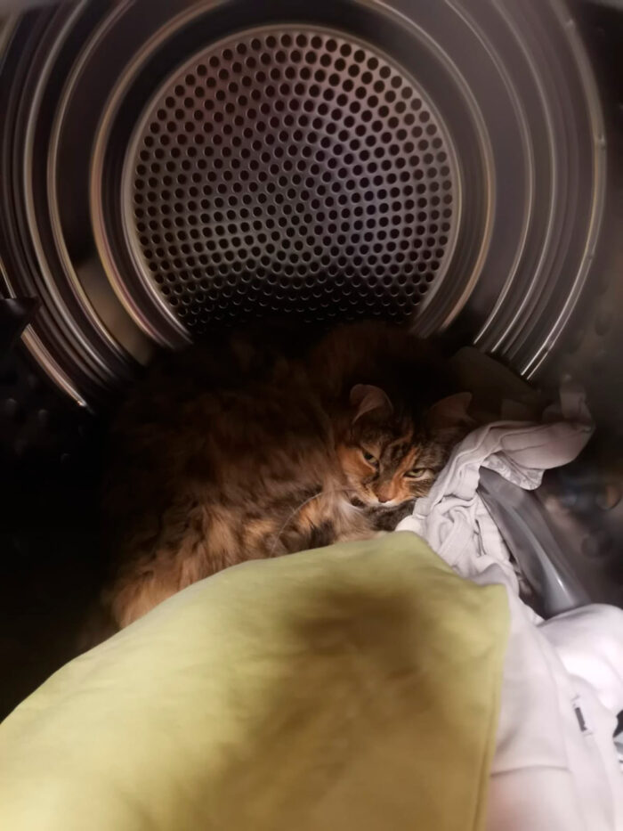 Umpu pesukoneessa banneri