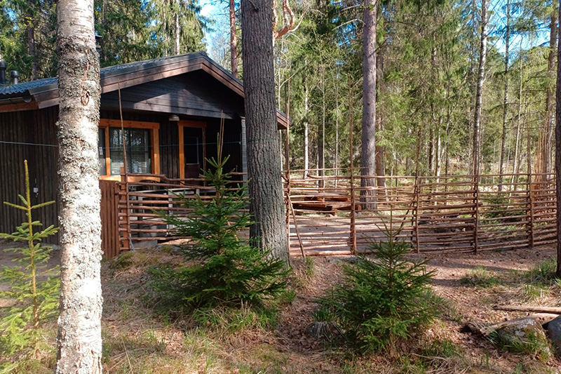 PEUKKU pääkuva 800-533