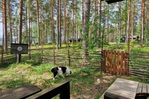 3.-Rautun-pihaa-800x533-1