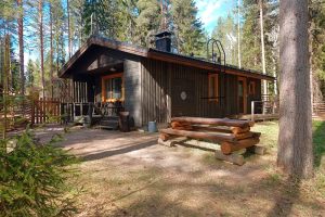 PEUKUN-aidattu-piha-800x533-1